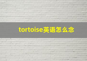 tortoise英语怎么念