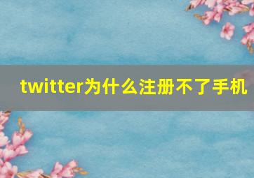 twitter为什么注册不了手机