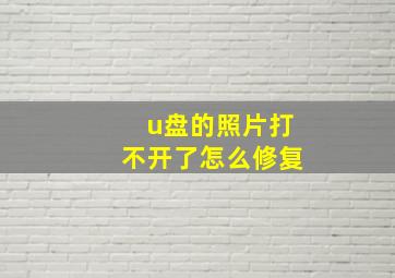 u盘的照片打不开了怎么修复