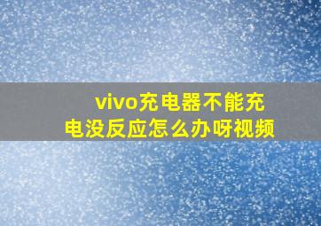 vivo充电器不能充电没反应怎么办呀视频