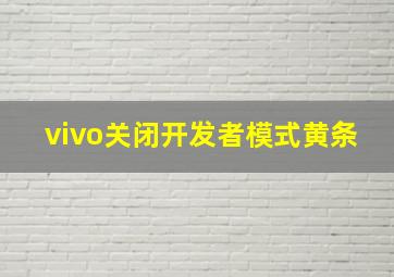 vivo关闭开发者模式黄条