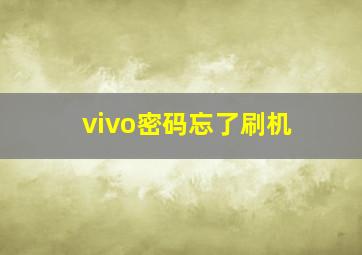 vivo密码忘了刷机