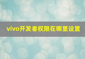 vivo开发者权限在哪里设置