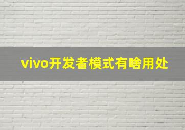 vivo开发者模式有啥用处