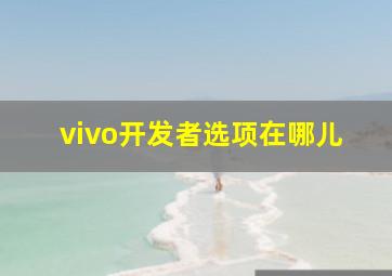 vivo开发者选项在哪儿