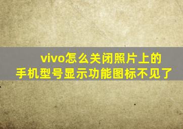 vivo怎么关闭照片上的手机型号显示功能图标不见了