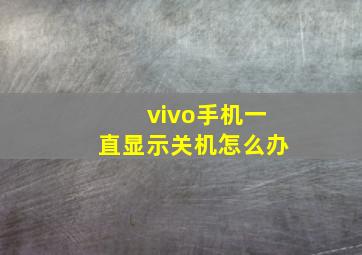 vivo手机一直显示关机怎么办