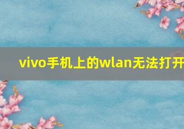 vivo手机上的wlan无法打开