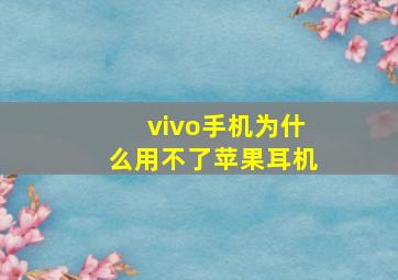 vivo手机为什么用不了苹果耳机