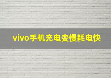 vivo手机充电变慢耗电快