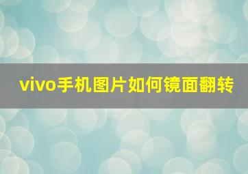 vivo手机图片如何镜面翻转