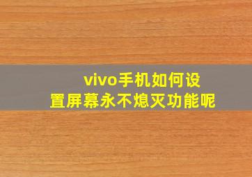 vivo手机如何设置屏幕永不熄灭功能呢