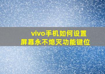 vivo手机如何设置屏幕永不熄灭功能键位