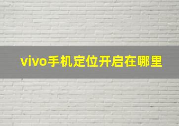 vivo手机定位开启在哪里