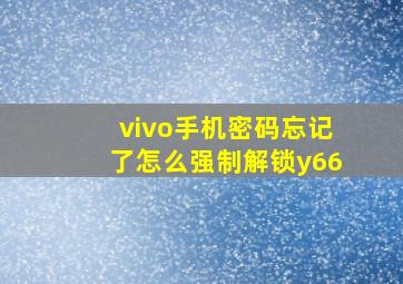 vivo手机密码忘记了怎么强制解锁y66