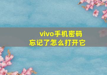 vivo手机密码忘记了怎么打开它