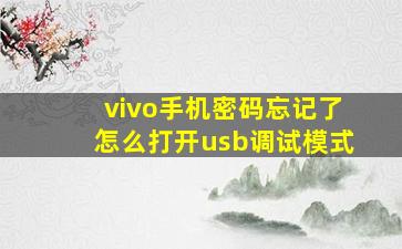 vivo手机密码忘记了怎么打开usb调试模式