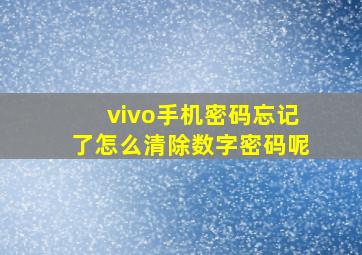 vivo手机密码忘记了怎么清除数字密码呢