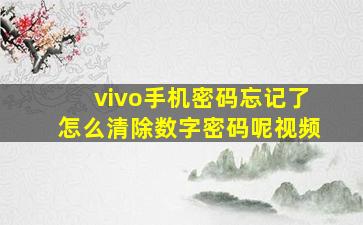 vivo手机密码忘记了怎么清除数字密码呢视频