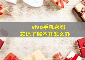 vivo手机密码忘记了解不开怎么办