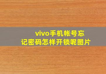 vivo手机帐号忘记密码怎样开锁呢图片