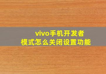 vivo手机开发者模式怎么关闭设置功能