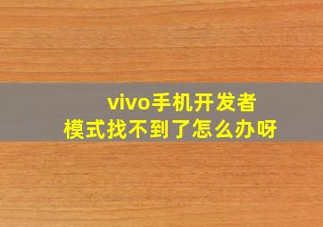 vivo手机开发者模式找不到了怎么办呀