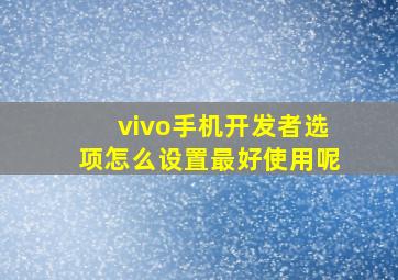 vivo手机开发者选项怎么设置最好使用呢