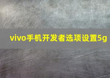 vivo手机开发者选项设置5g