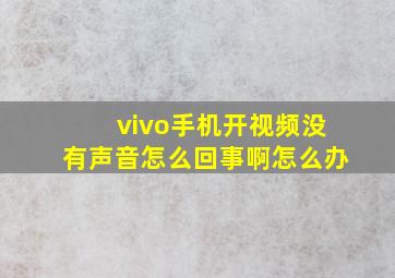 vivo手机开视频没有声音怎么回事啊怎么办