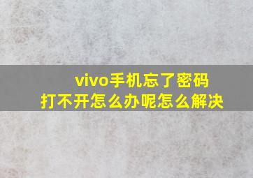 vivo手机忘了密码打不开怎么办呢怎么解决