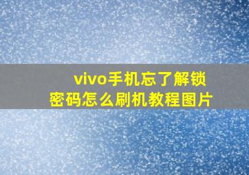 vivo手机忘了解锁密码怎么刷机教程图片