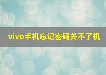 vivo手机忘记密码关不了机