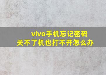 vivo手机忘记密码关不了机也打不开怎么办