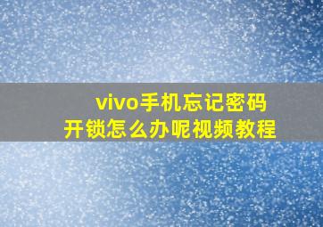 vivo手机忘记密码开锁怎么办呢视频教程