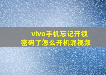 vivo手机忘记开锁密码了怎么开机呢视频