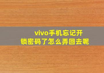 vivo手机忘记开锁密码了怎么弄回去呢