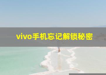 vivo手机忘记解锁秘密