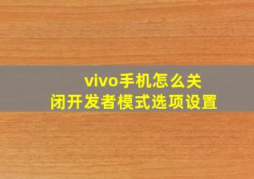 vivo手机怎么关闭开发者模式选项设置