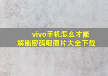 vivo手机怎么才能解锁密码呢图片大全下载