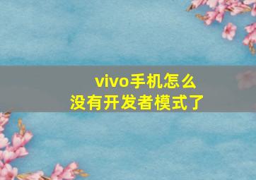 vivo手机怎么没有开发者模式了