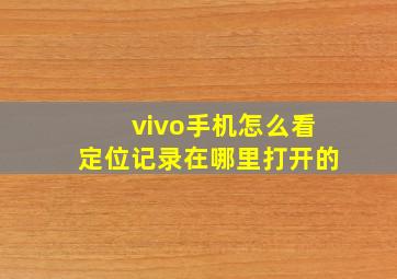 vivo手机怎么看定位记录在哪里打开的