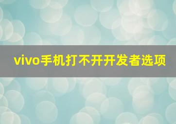 vivo手机打不开开发者选项