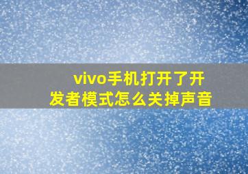 vivo手机打开了开发者模式怎么关掉声音