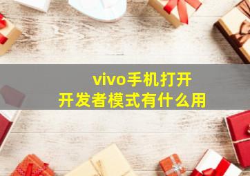 vivo手机打开开发者模式有什么用