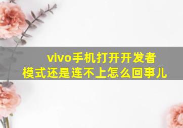 vivo手机打开开发者模式还是连不上怎么回事儿