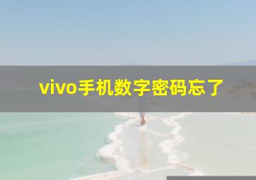 vivo手机数字密码忘了