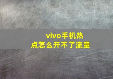 vivo手机热点怎么开不了流量