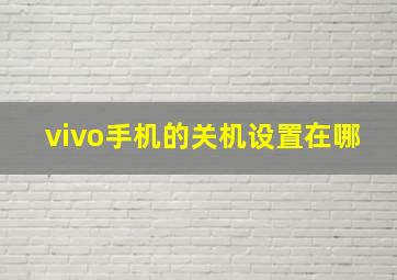 vivo手机的关机设置在哪