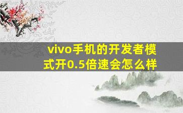 vivo手机的开发者模式开0.5倍速会怎么样